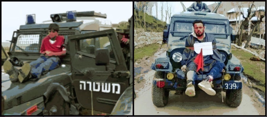 human shields Palestine Kashmir