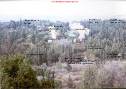 Imwas in 1988 after the JNF forestation has hidden most - but not all - of the village