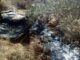 Deir Al Hattab village had 660 olive trees destroyed by illegal Jewish-only settlements pumping sewage