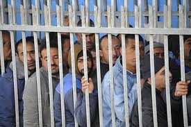 checkpoints sardines