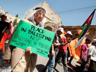 peace-in-palestine