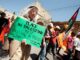 peace-in-palestine