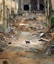 jenin