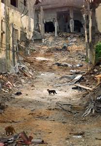 jenin