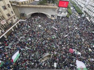 Algiers1